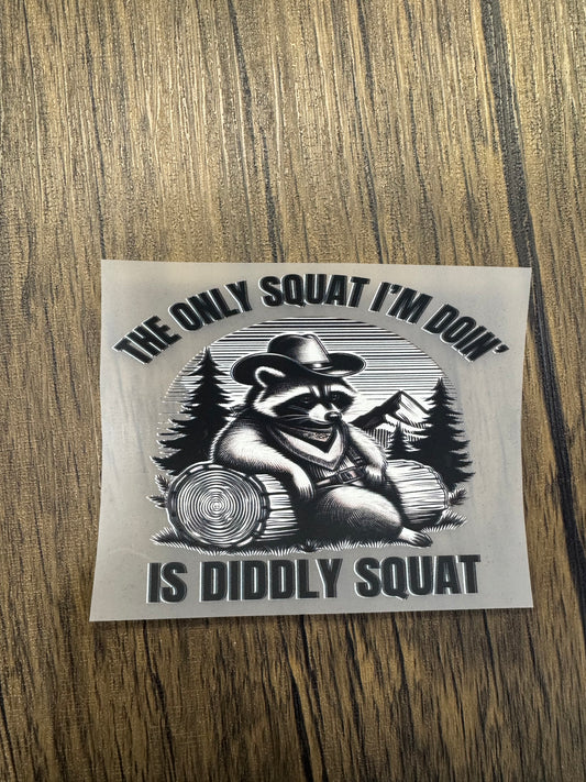 Raccoon Diddly Squat Hat Size DTF Prints